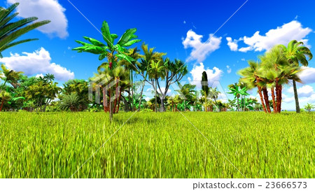 Tropical jungle 3d illustration Tropical jungle 3d illustration 23666573