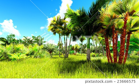 Tropical jungle 3d illustration Tropical jungle 3d illustration 23666575