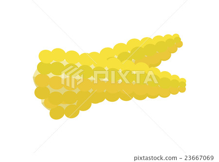 Corn Vector Illustration in Flat Style Design.   23667069