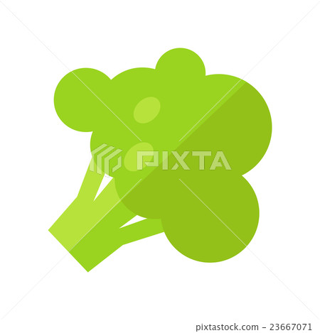Broccoli Vector Illustration in Flat Style Design 23667071