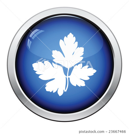 Parsley icon 23667466