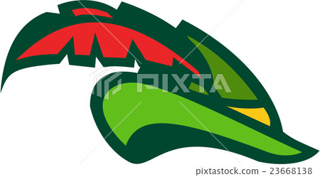 Robin Hood Hat Retro 23668138