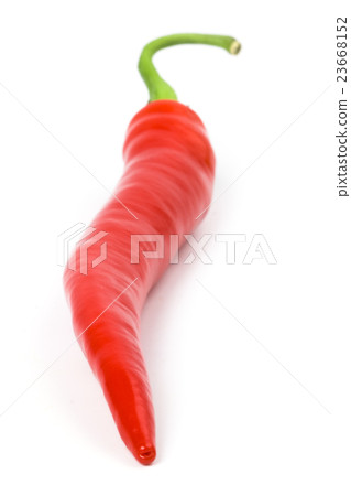 red chilly pepper red chilly pepper 23668152