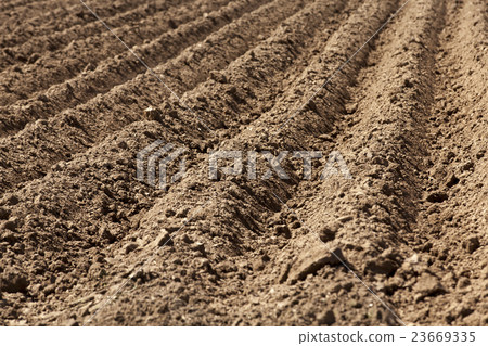 plowed land,  furrows   23669335