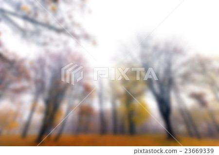 Autumn Park, overcast   23669339