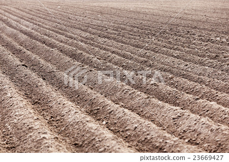 plowed field, furrows   23669427