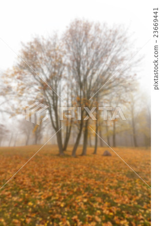 Autumn Park, overcast Autumn Park, overcast 23669441