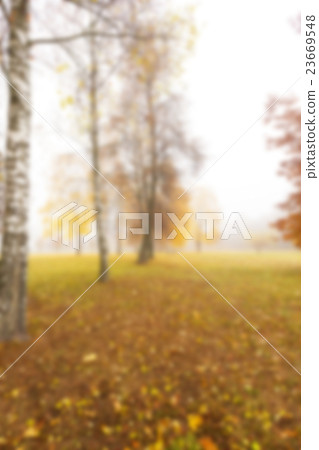 Autumn Park, overcast Autumn Park, overcast 23669548