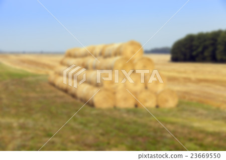 stack of wheat straw   23669550