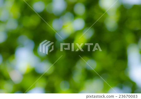 BOKEH GREEN BACKGROUND 23670083