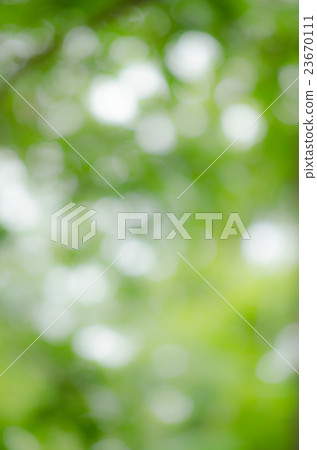 BOKEH GREEN BACKGROUND BOKEH GREEN BACKGROUND 23670111