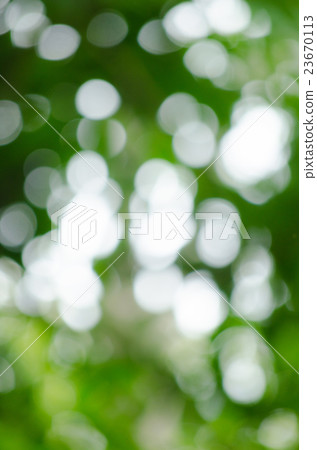 BOKEH GREEN BACKGROUND BOKEH GREEN BACKGROUND 23670113