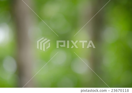 BOKEH GREEN BACKGROUND BOKEH GREEN BACKGROUND 23670118