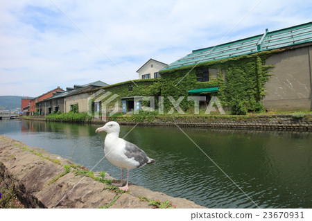  小樽運河 23670931