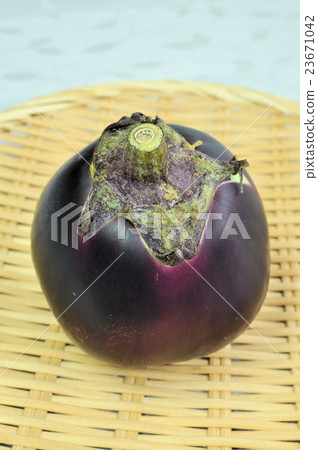 Traditional vegetables in Kyoto 23671042