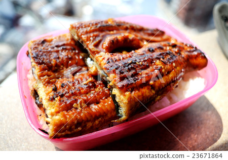 鰻魚 鰻魚 23671864