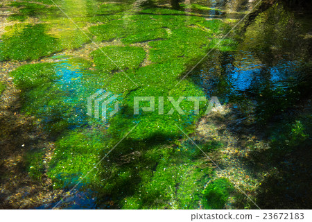 夏季清澈流動 23672183