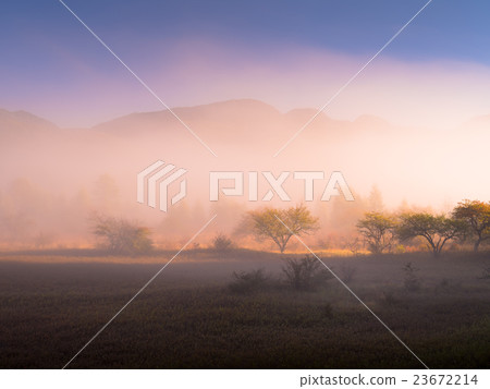 Odashirogahara在清晨 23672214