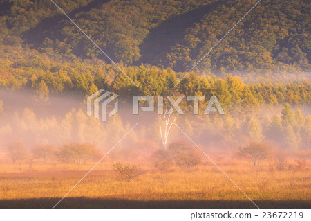 Odashiroagahara的夫人 23672219