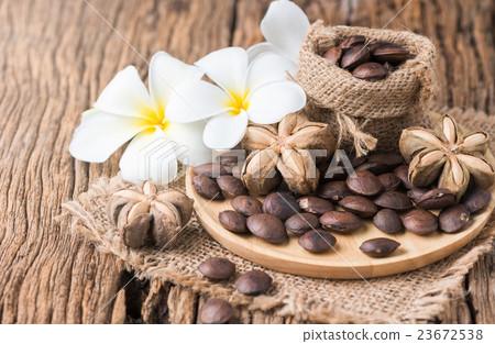 dried capsule seeds fruit of sacha-Inchi peanut 23672538