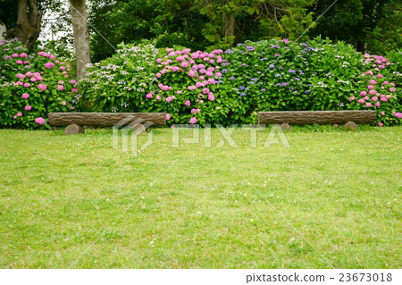 公園長椅和繡球花1 公園長椅和繡球花1 23673018
