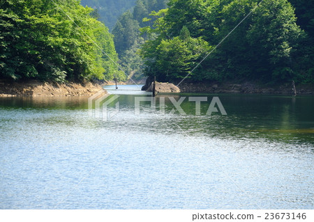 Dead trees on the lake surface of Taiping Lake Dead trees on the lake surface of Taiping Lake 23673146