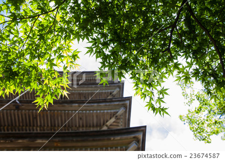 ShōjiTemple08 ShōjiTemple08 23674587
