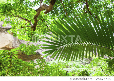 Pinaisara 02 23674620