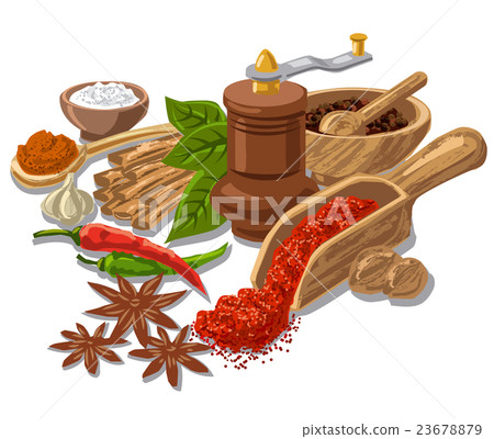 seasonings with condiment and spices 23678879