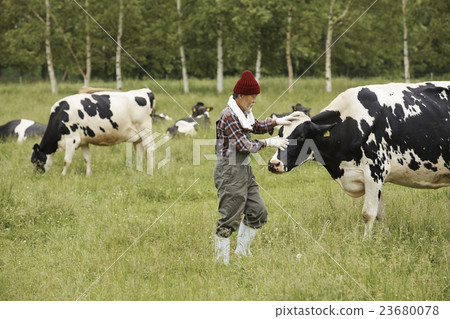 畜牧工作風光 23680078