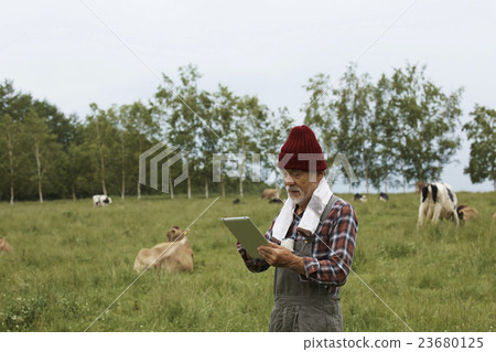 IT Farm Image 23680125