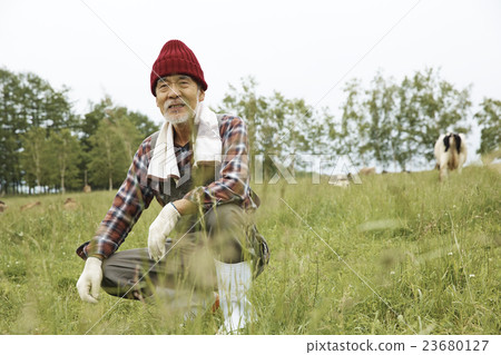 Farmhouse portrait Farmhouse portrait 23680127