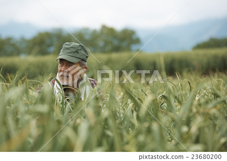 農舍畫像 農舍畫像 23680200