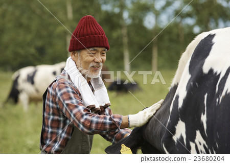 畜牧工作風光 23680204