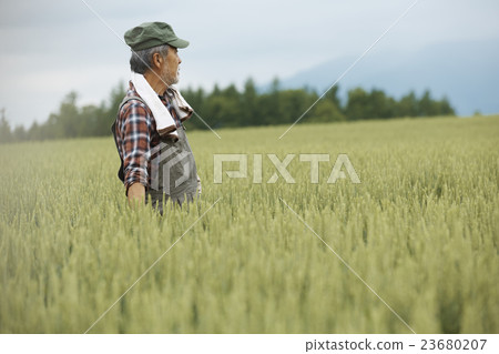 Farmhouse portrait Farmhouse portrait 23680207