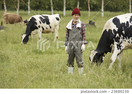 畜牧工作風光 23680230