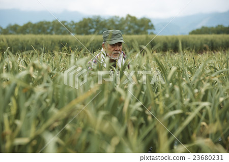 農舍畫像 23680231