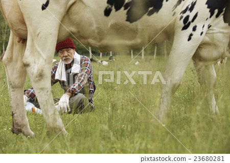 Animal husbandry work scenery 23680281