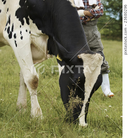Image of agriculture Image of agriculture 23680296