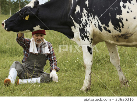 Animal husbandry work scenery Animal husbandry work scenery 23680316