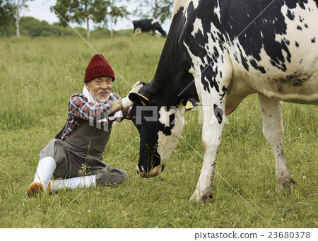 Animal husbandry work scenery 23680378
