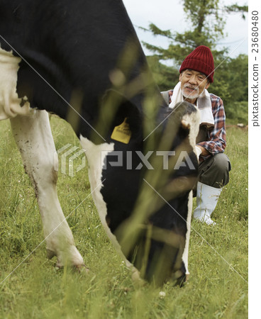 Animal husbandry work scenery Animal husbandry work scenery 23680480