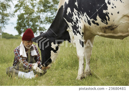 Animal husbandry work scenery 23680481