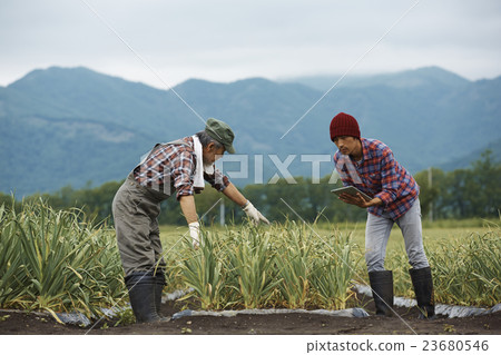 Farm family parent work scenery Farm family parent work scenery 23680546
