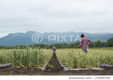農場家庭父母工作風景 農場家庭父母工作風景 23680568