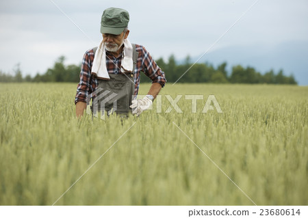 Farmhouse portrait 23680614
