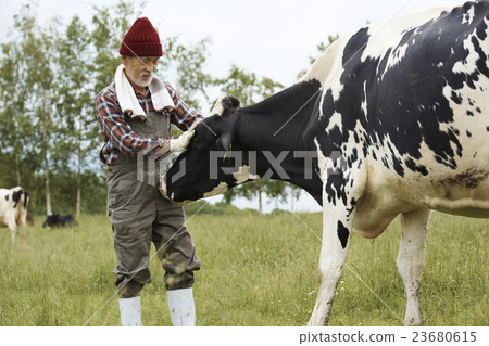 Animal husbandry work scenery 23680615