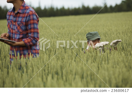 Farm family parent work scenery 23680617