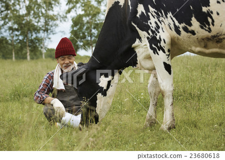 Animal husbandry work scenery 23680618