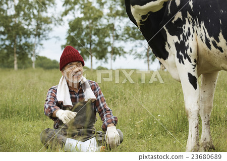 Animal husbandry work scenery Animal husbandry work scenery 23680689